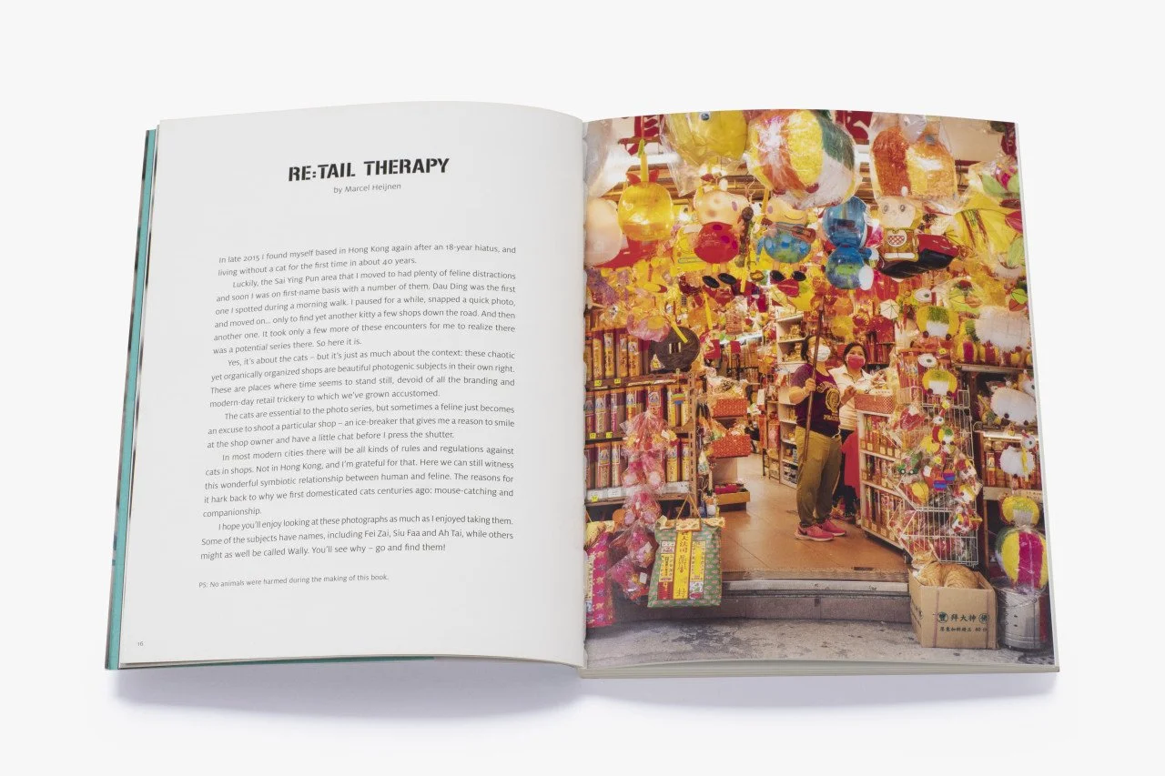 HK Shop Cats_4_large.jpeg