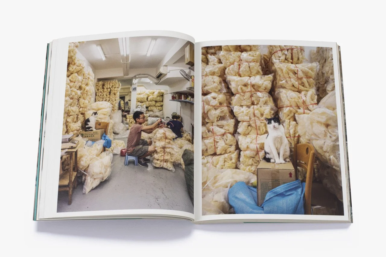 HK Shop Cats_6_large.jpeg