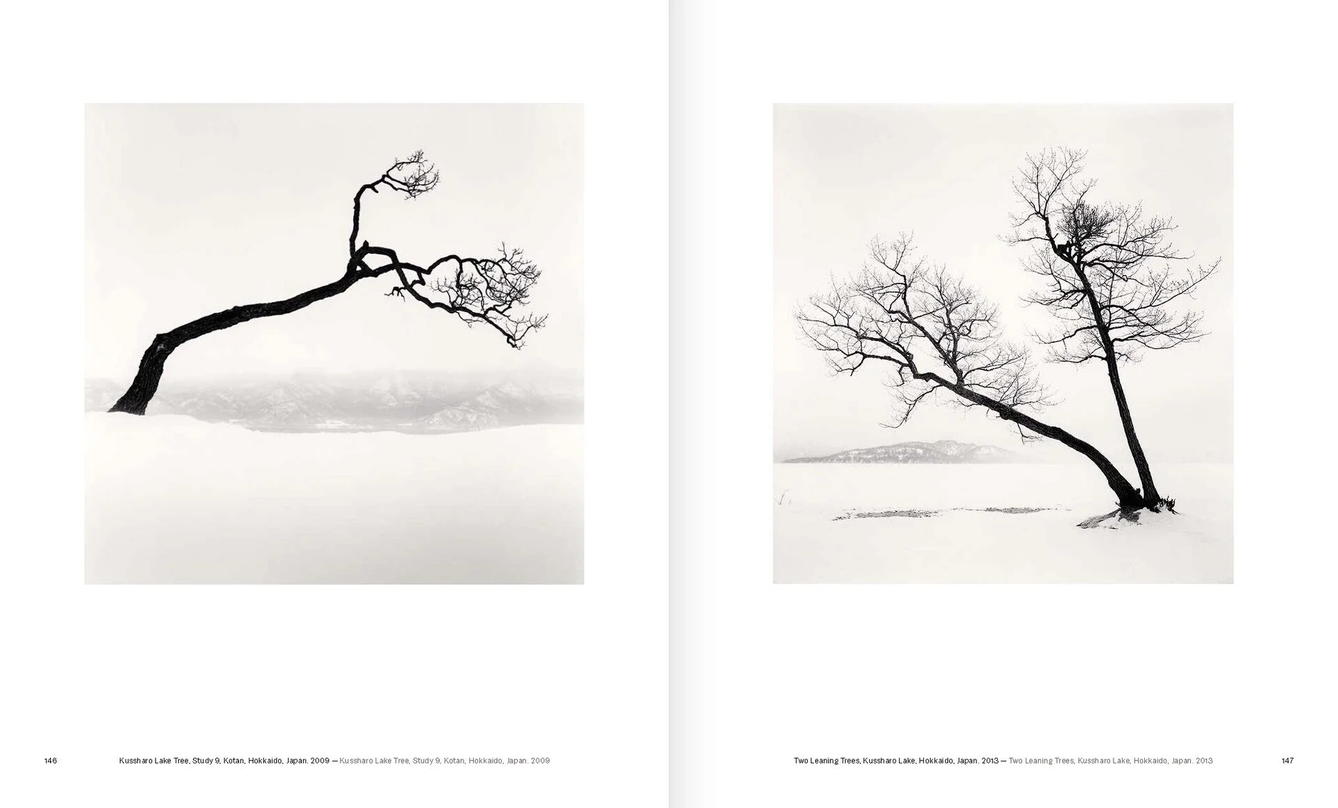 Arbes Trees_Michael Kenna_3.jpg