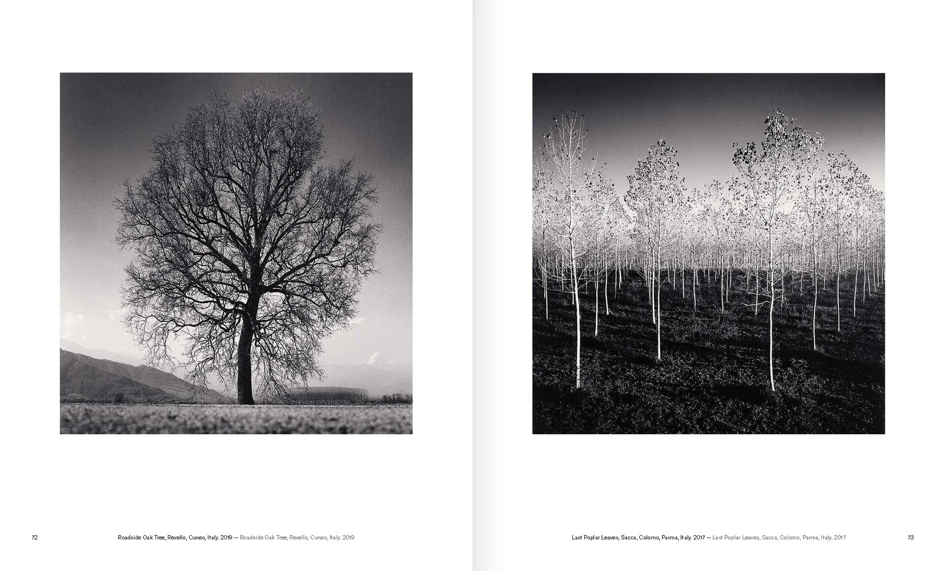 Arbes Trees_Michael Kenna_1.jpg