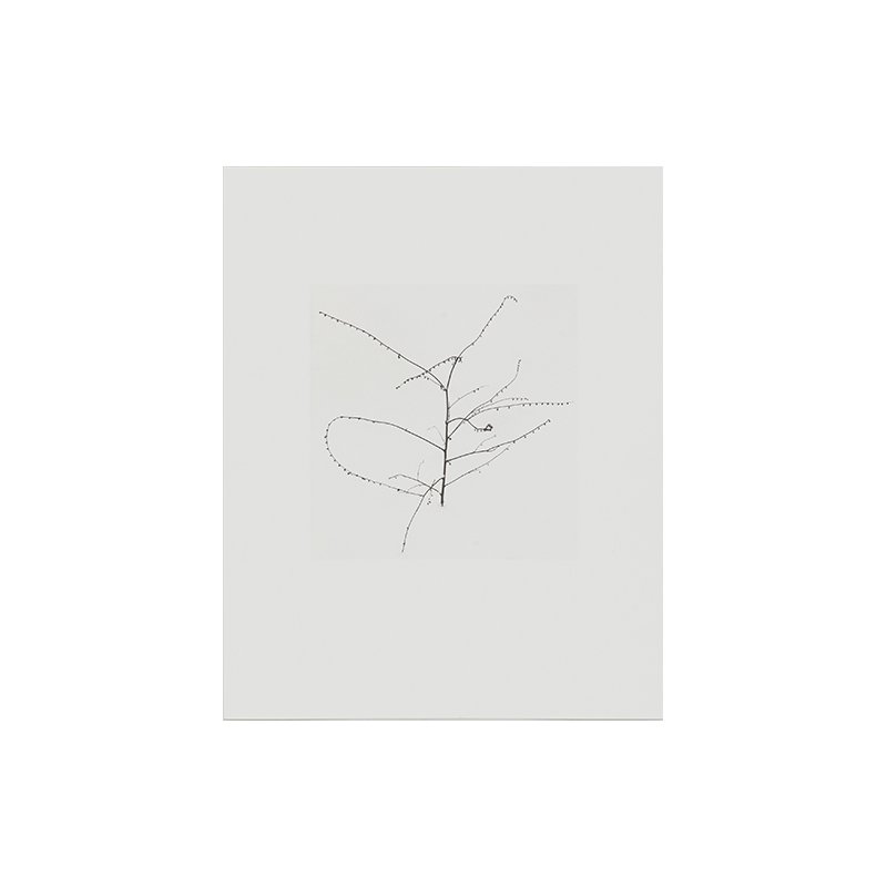Kennna_web_4.jpg