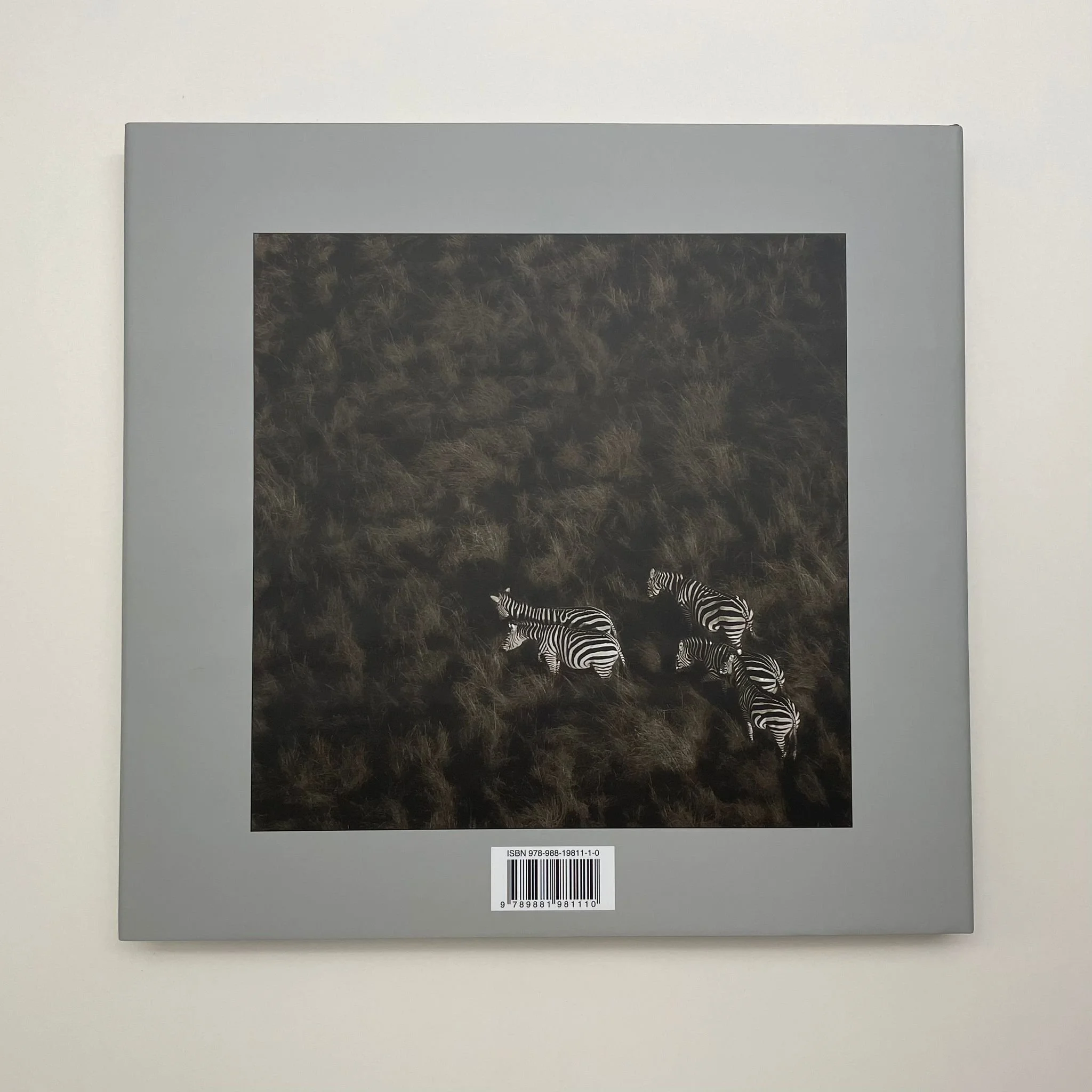 WhatsApp Image 2023-10-04 at 13.27.51.jpeg