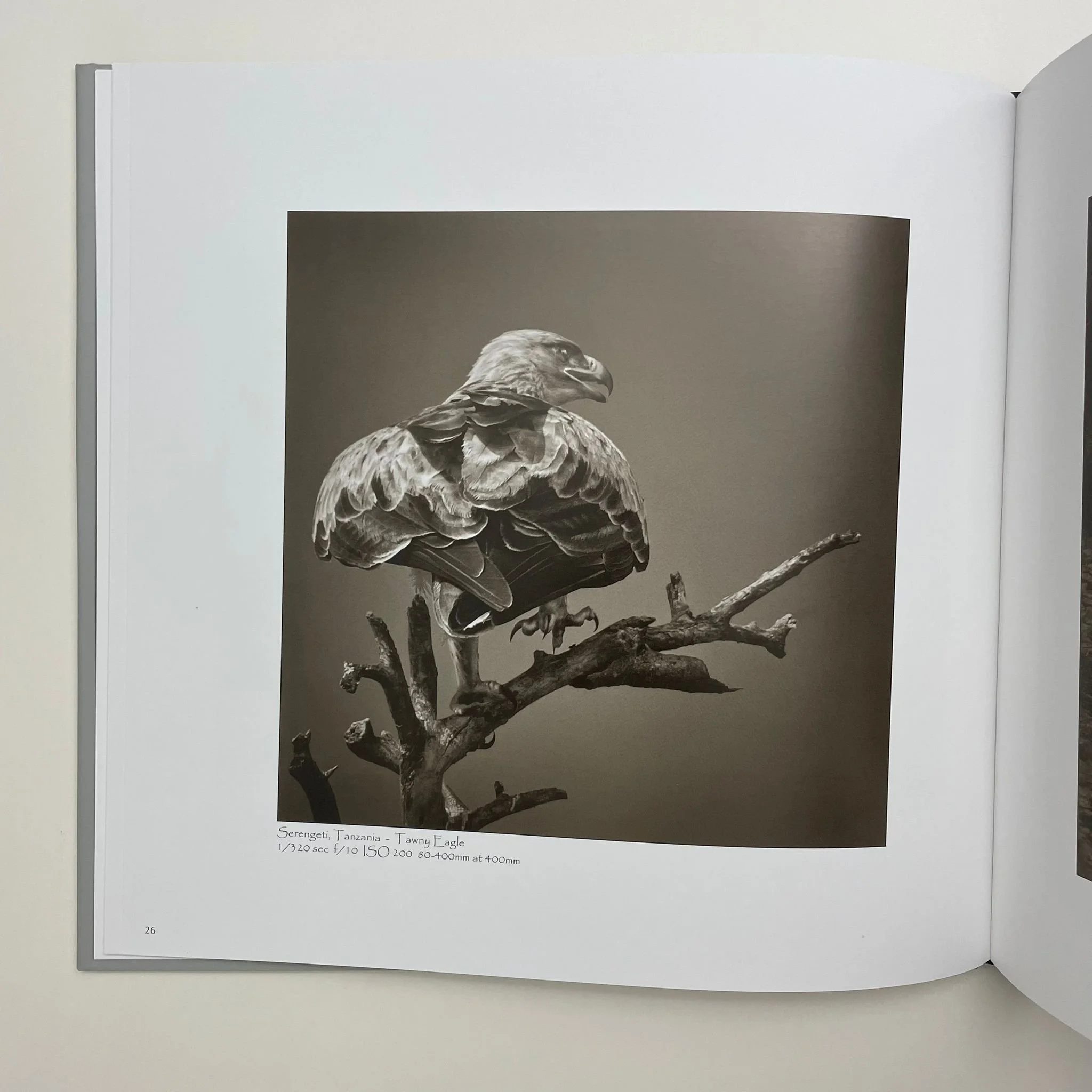 WhatsApp Image 2023-10-04 at 13.27.52 (2).jpeg