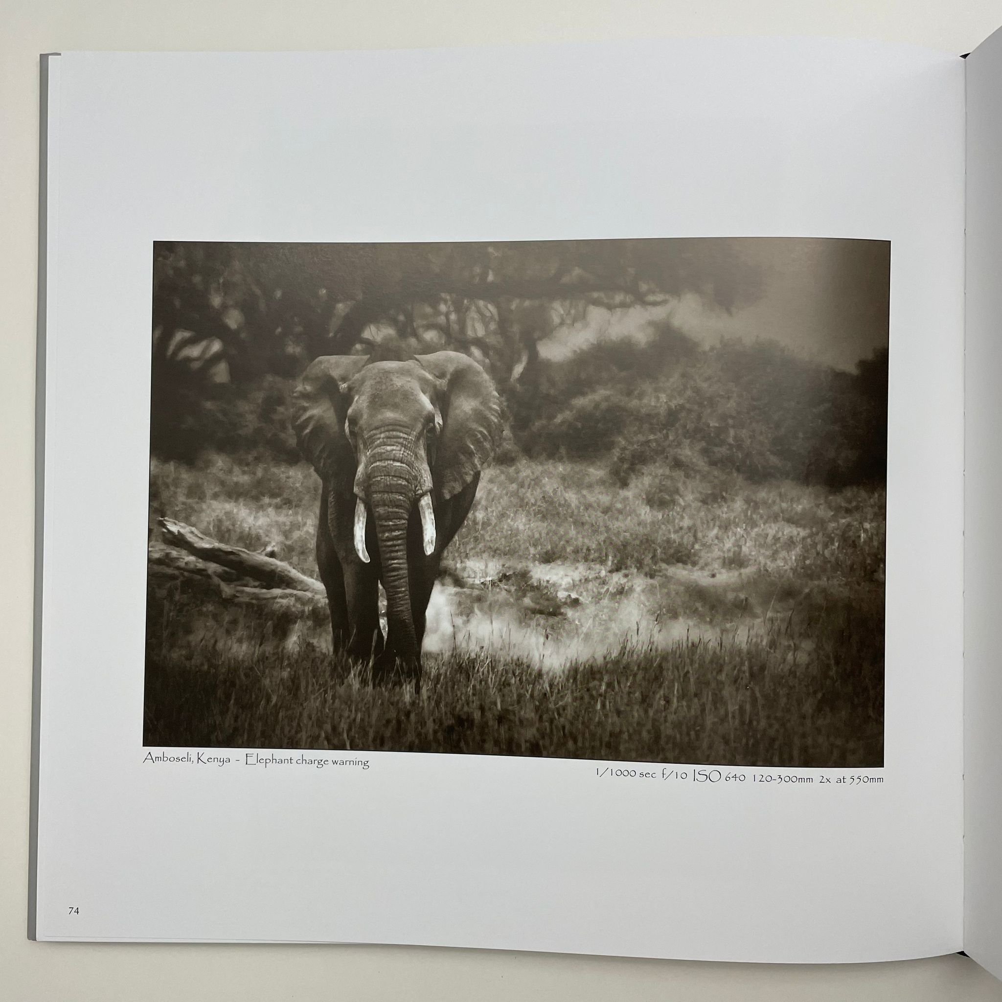 WhatsApp Image 2023-10-04 at 13.27.51 (1).jpeg