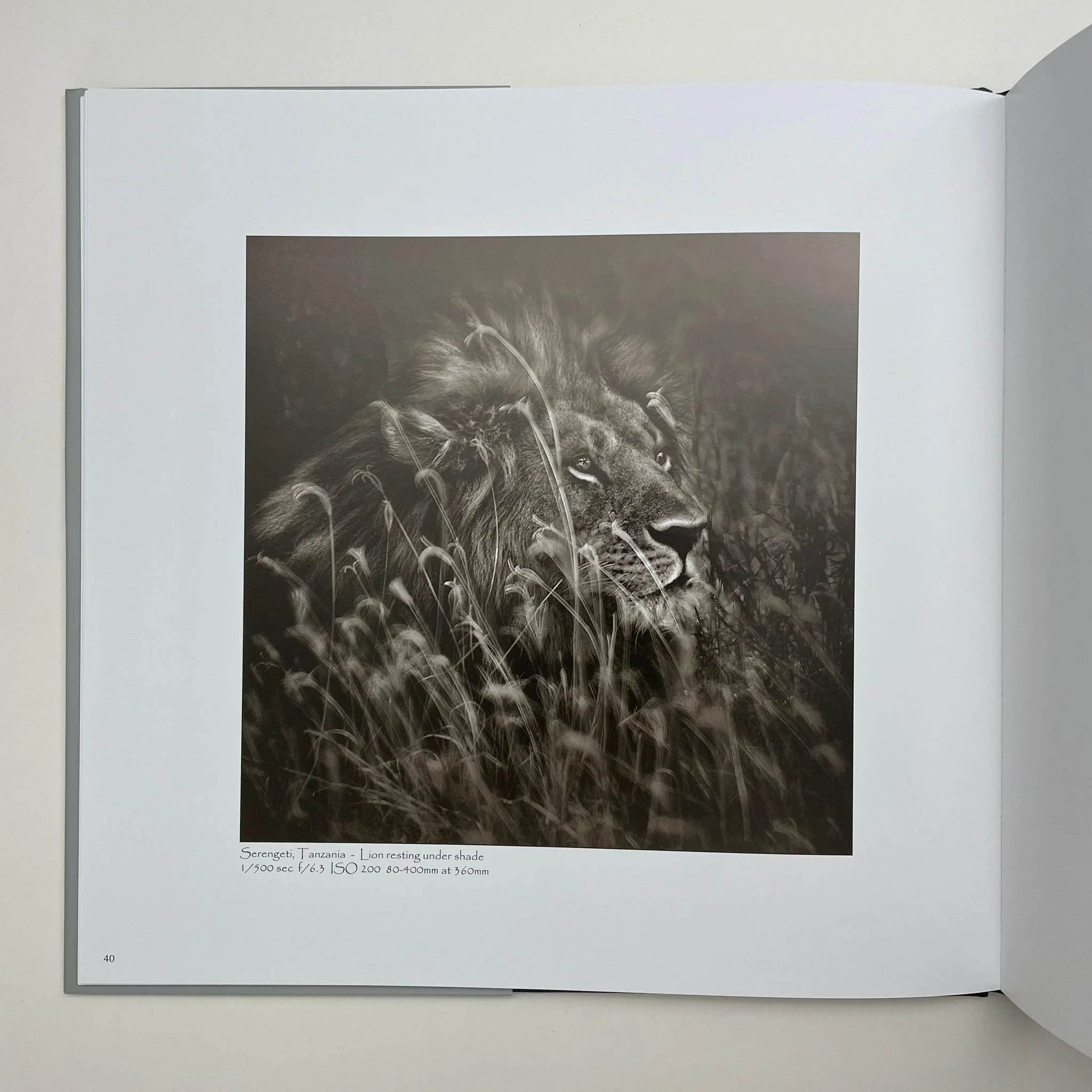 WhatsApp Image 2023-10-04 at 13.27.52 (1).jpeg