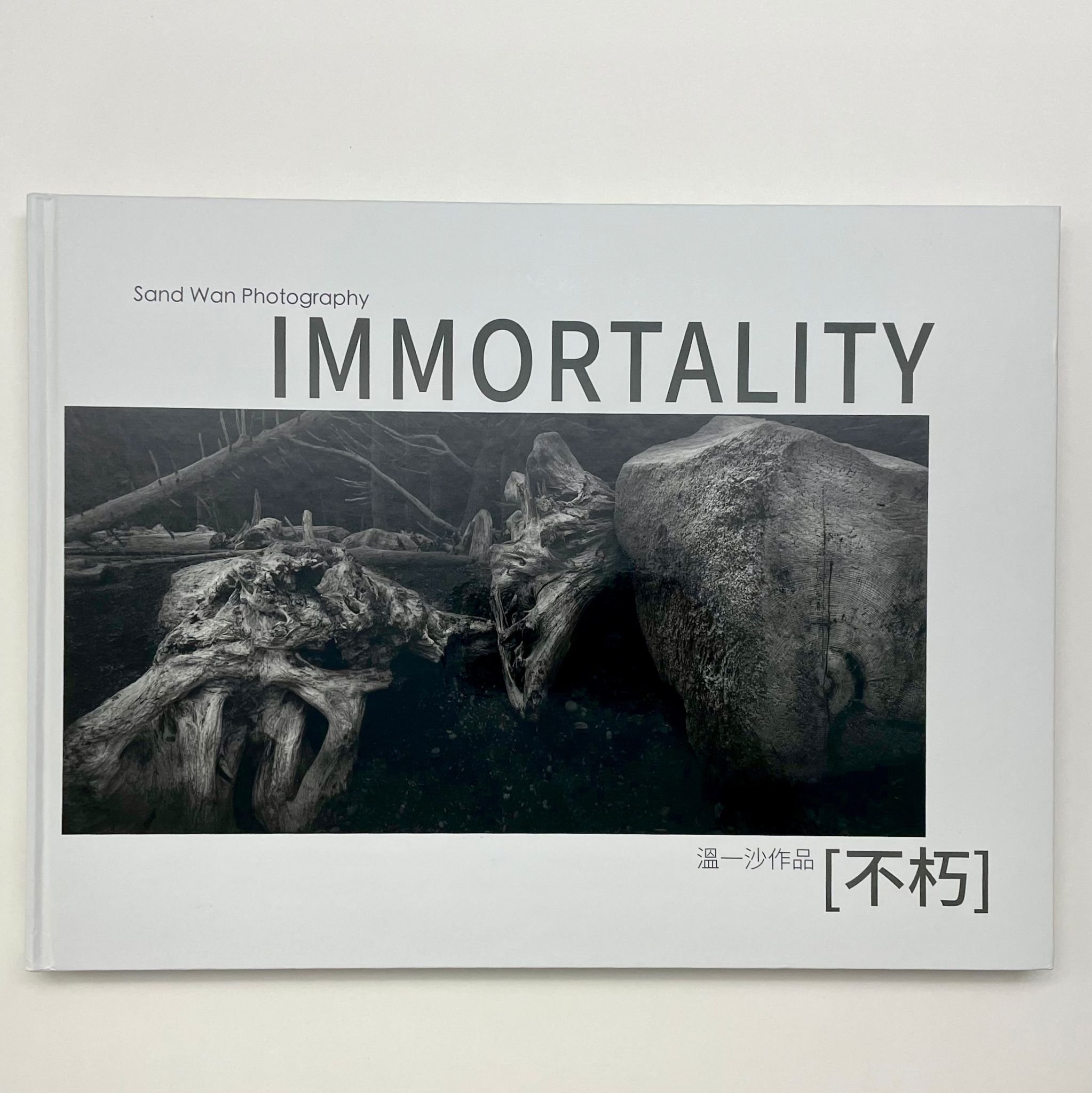 Photo-book: Immortality 不朽 | Sand Wan 温一沙
