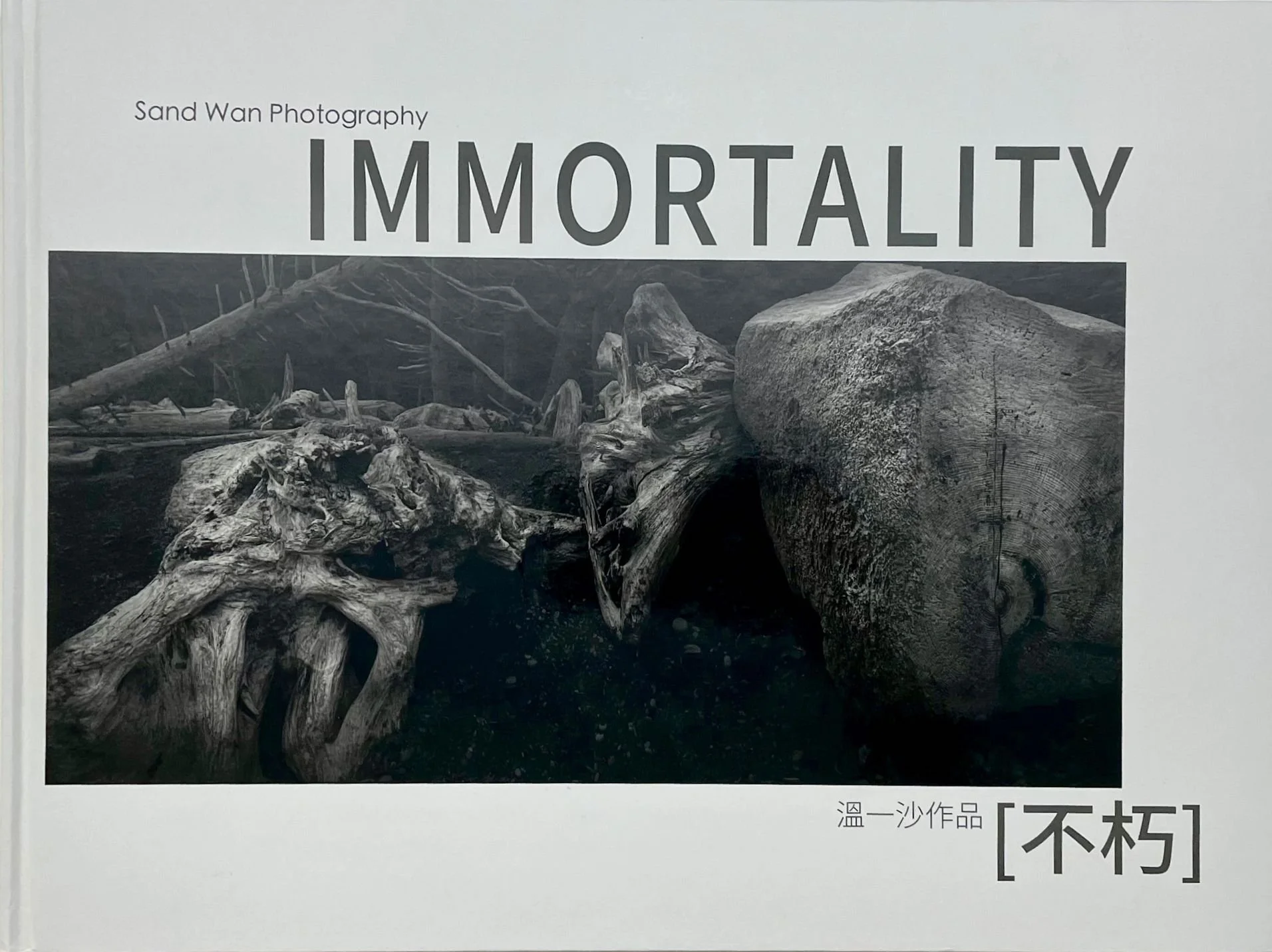 WhatsApp Image 2023-10-04 at 17.15.27.jpeg