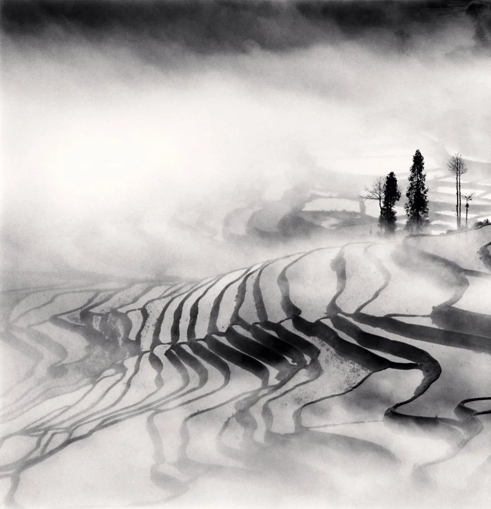 China 中國| Michael Kenna — Blue Lotus Gallery