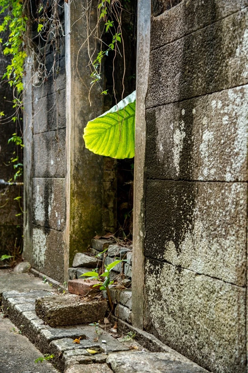 Luk Keng #2 (2020).jpeg