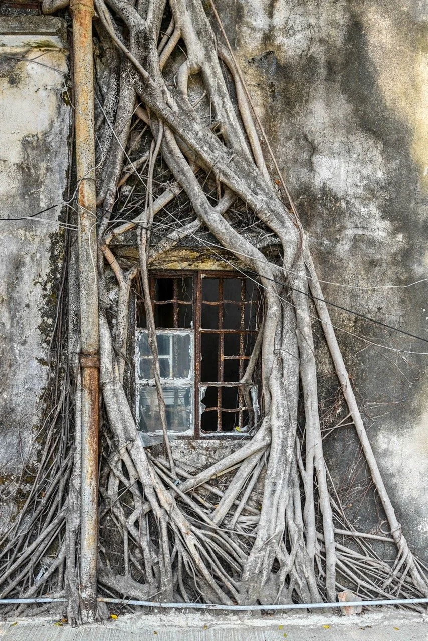 Kat O #2 (2021).jpeg