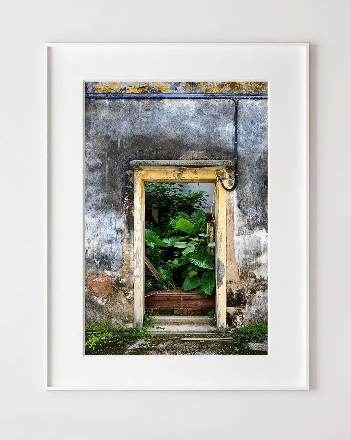 WhatsApp Image 2024-02-08 at 14.57.10.jpeg