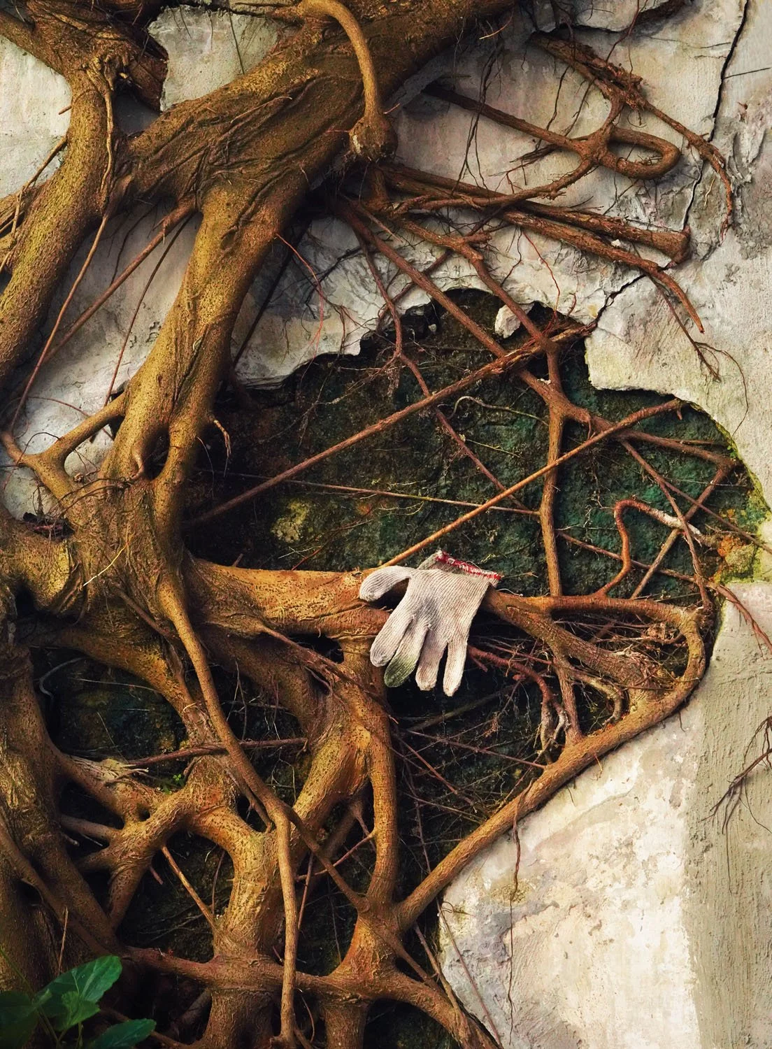 The Hand of Nature 2023.jpg