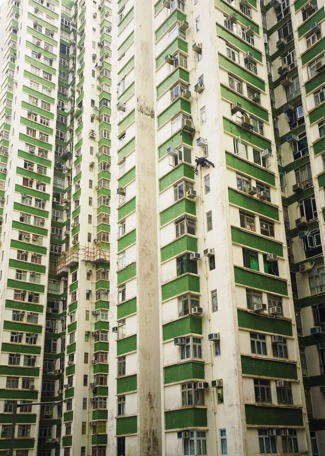 Alone in the Concrete Forest.jpg