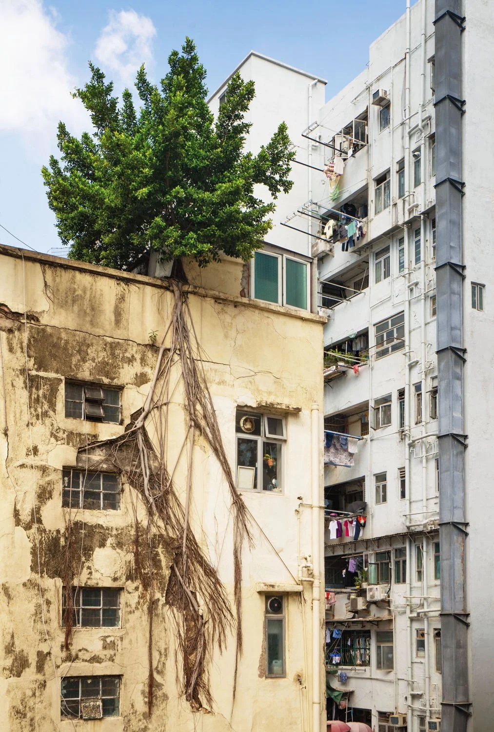 RJL 8 Yi Pei Square, 2023.jpg