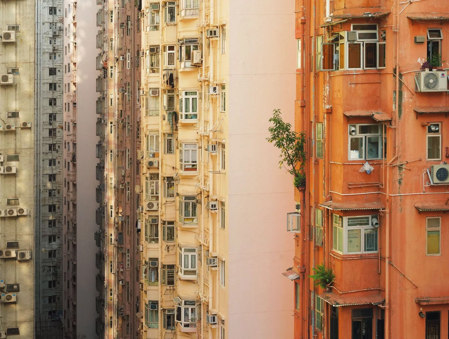 RJL 29 Fort Street, 2023.jpg