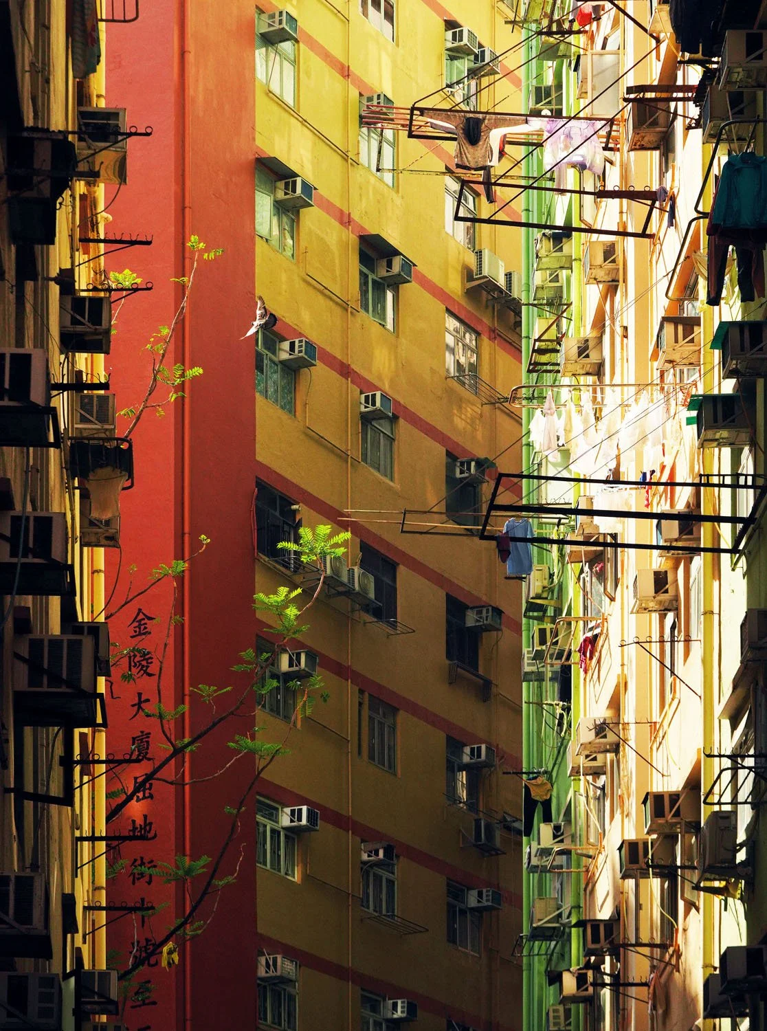 RJL Sunlit Ascent.jpg