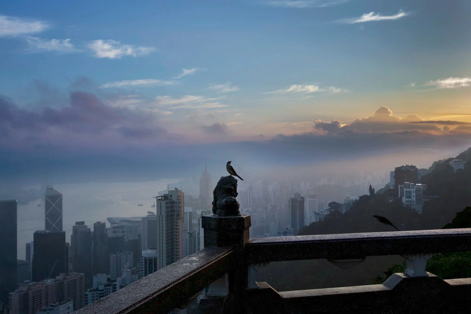 Exploration and Reflection: Blue Lotus Gallery in 2025