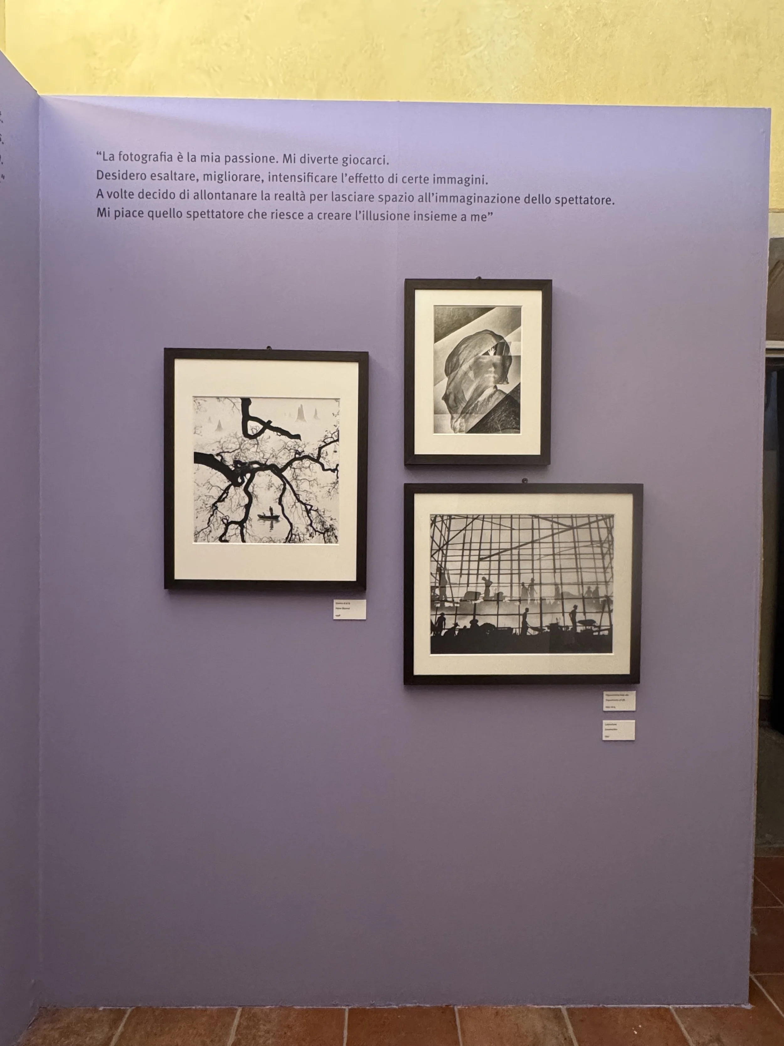 IMG_1064.jpeg