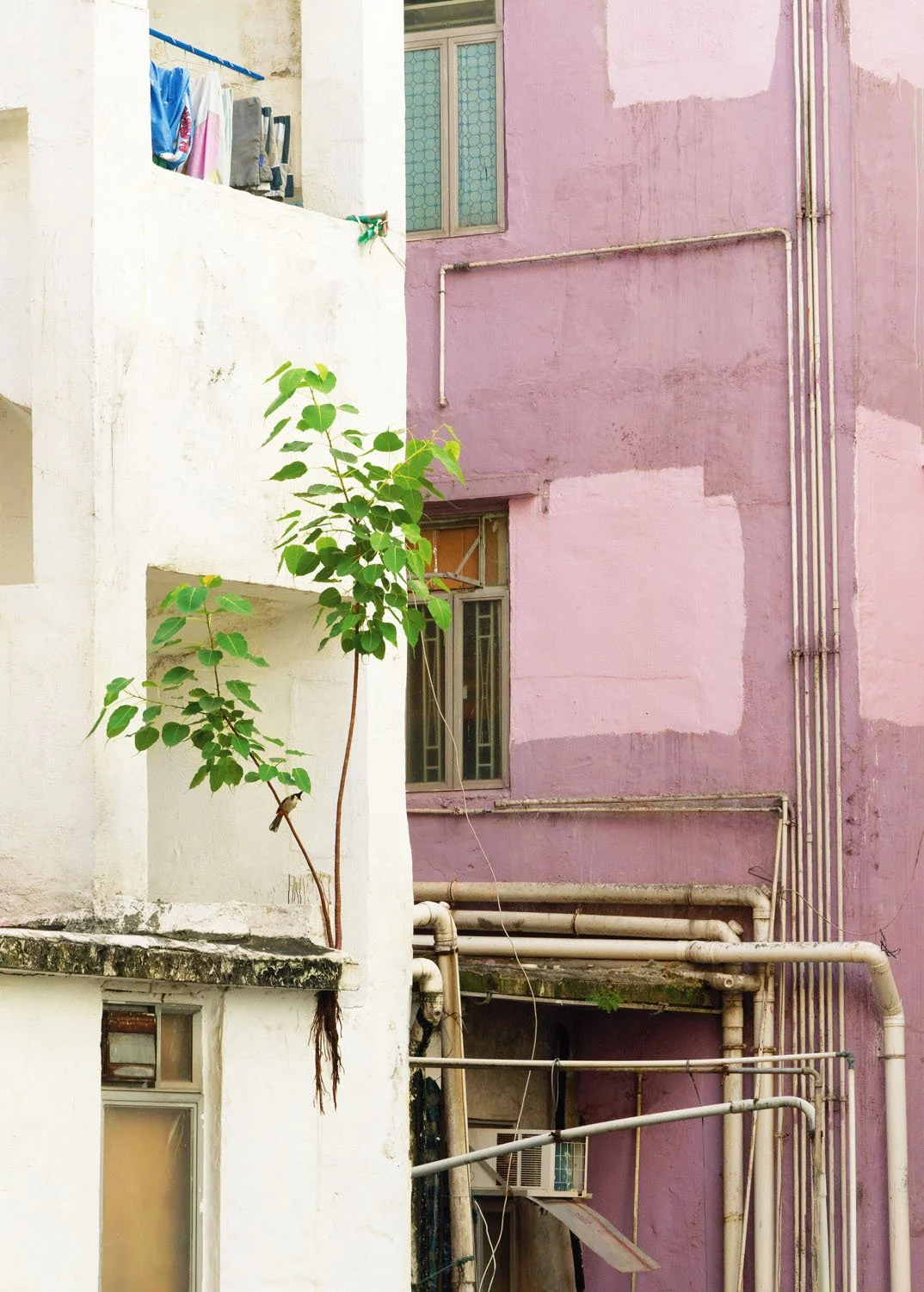 5 To Kwa Wan Road, 2023.jpg