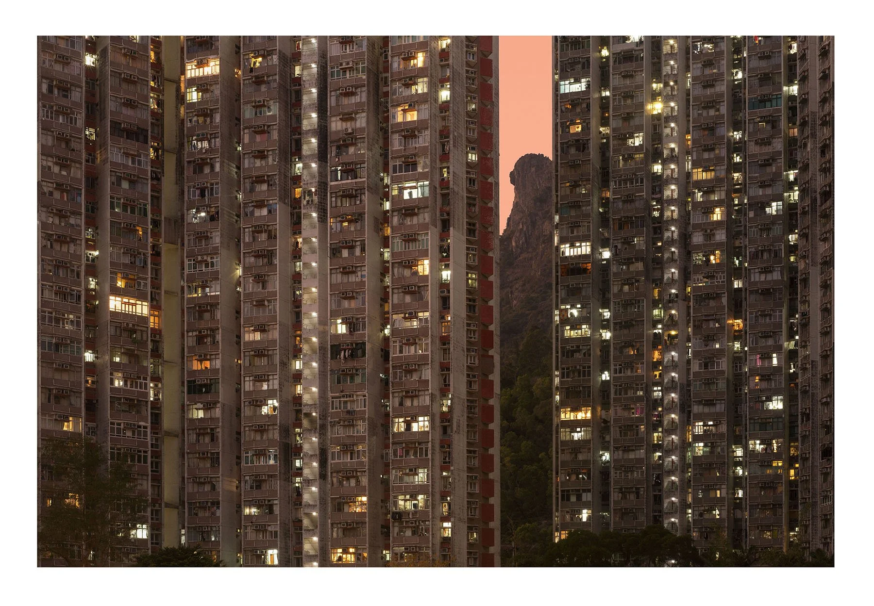 Lion Behind the Wall.jpg