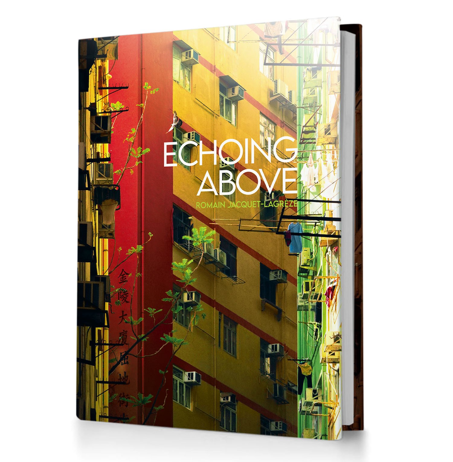 Echoing Above - Perspective - Front Cover.jpg