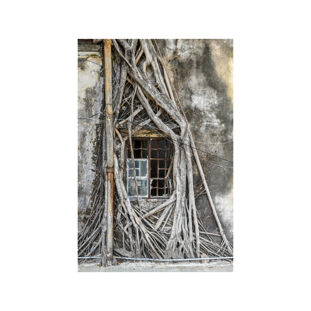 Untitled - 07 October 2026 at 20.20.27-8.png
