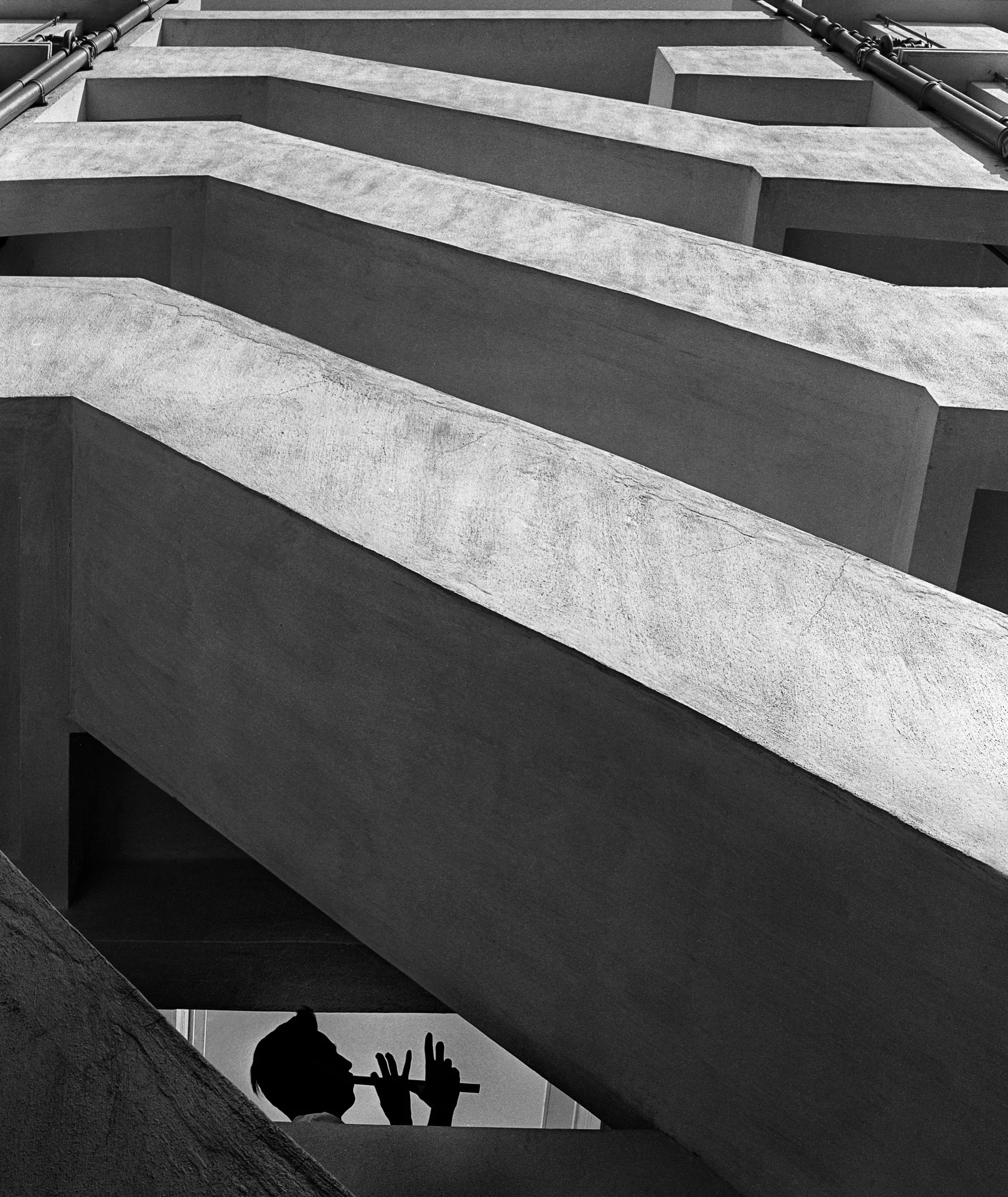 Fan Ho_Melody.jpg