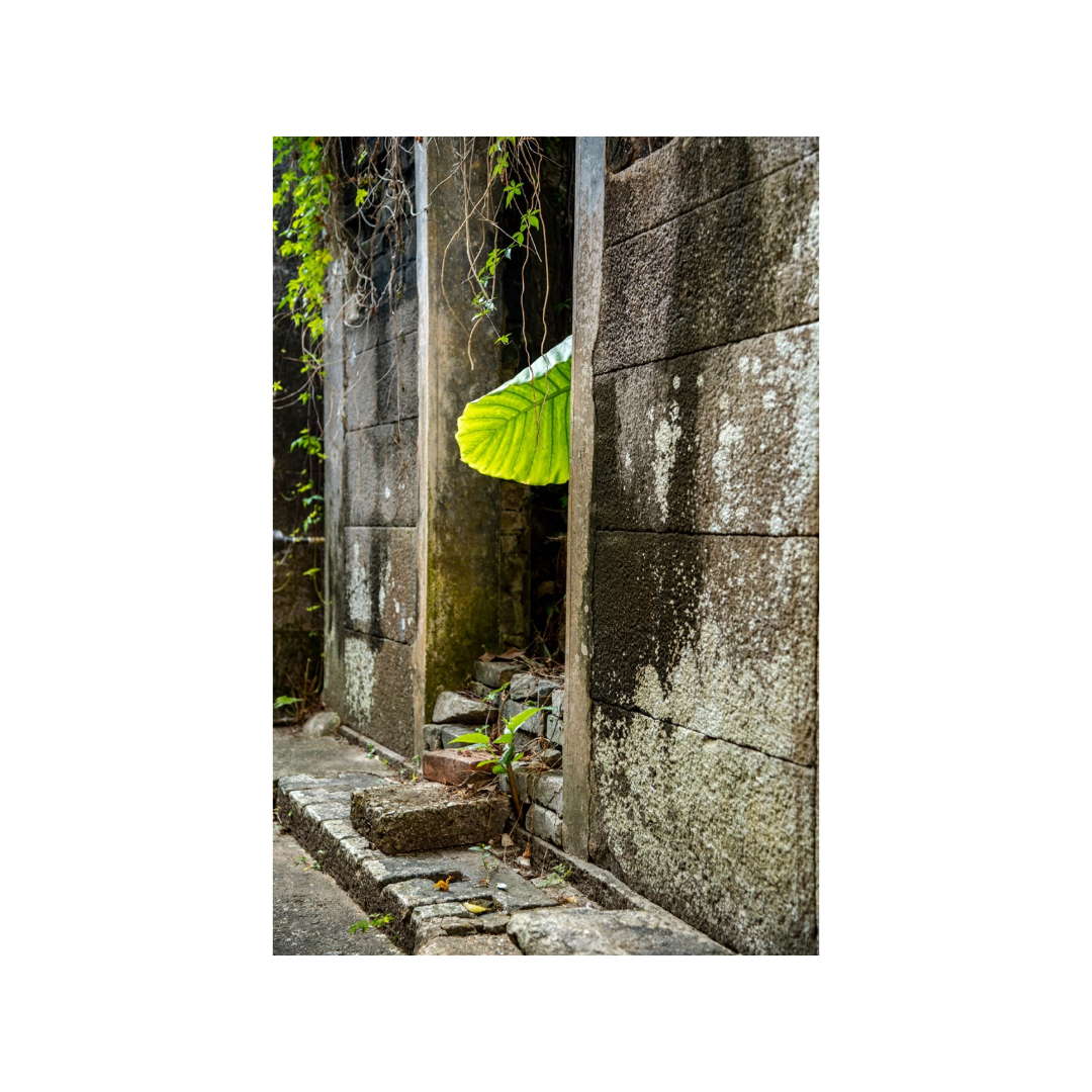 Untitled - 07 October 2026 at 20.20.27-10.png
