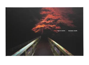 Photo-book: Tokyo Silence by Yasuhiro Ogawa — Blue Lotus Gallery