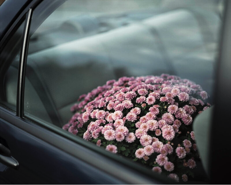 Screenshot 2026-02-23 at 4.34.18 PM.png