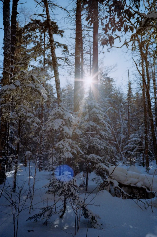 17_2012winter01.jpg