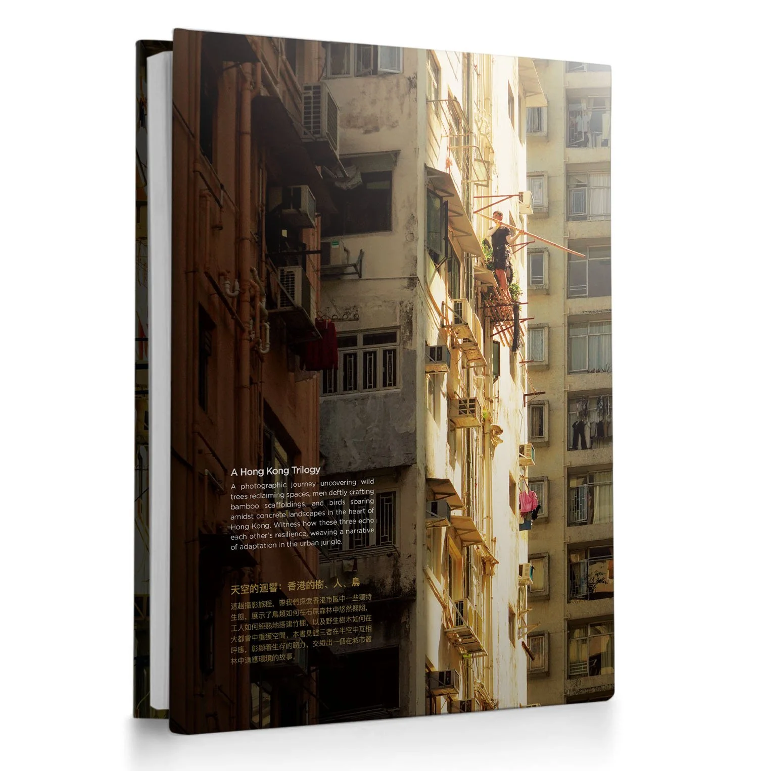 Echoing Above - Perspective - Back Cover.jpg