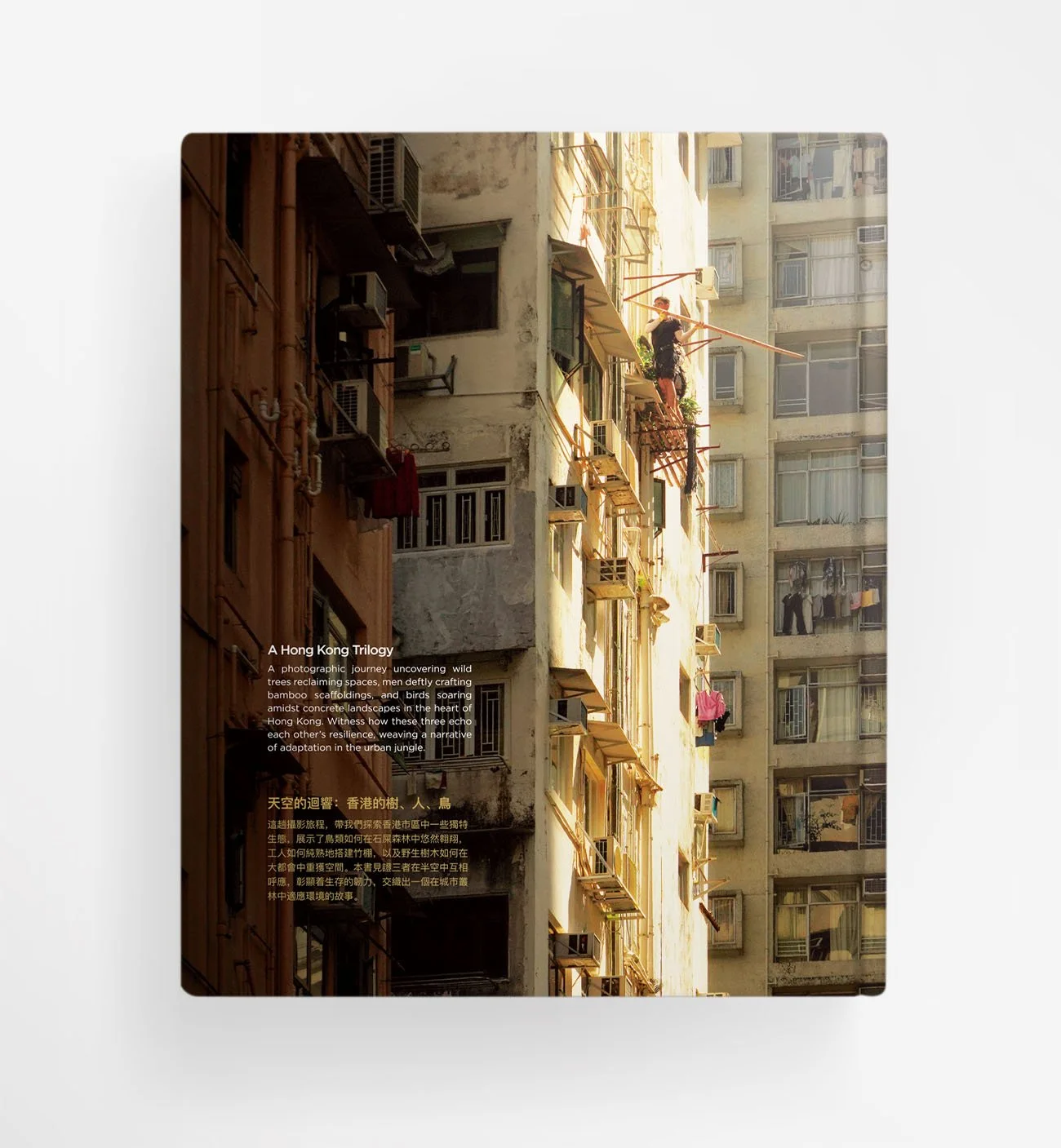 Echoing Above - Back Cover.jpg