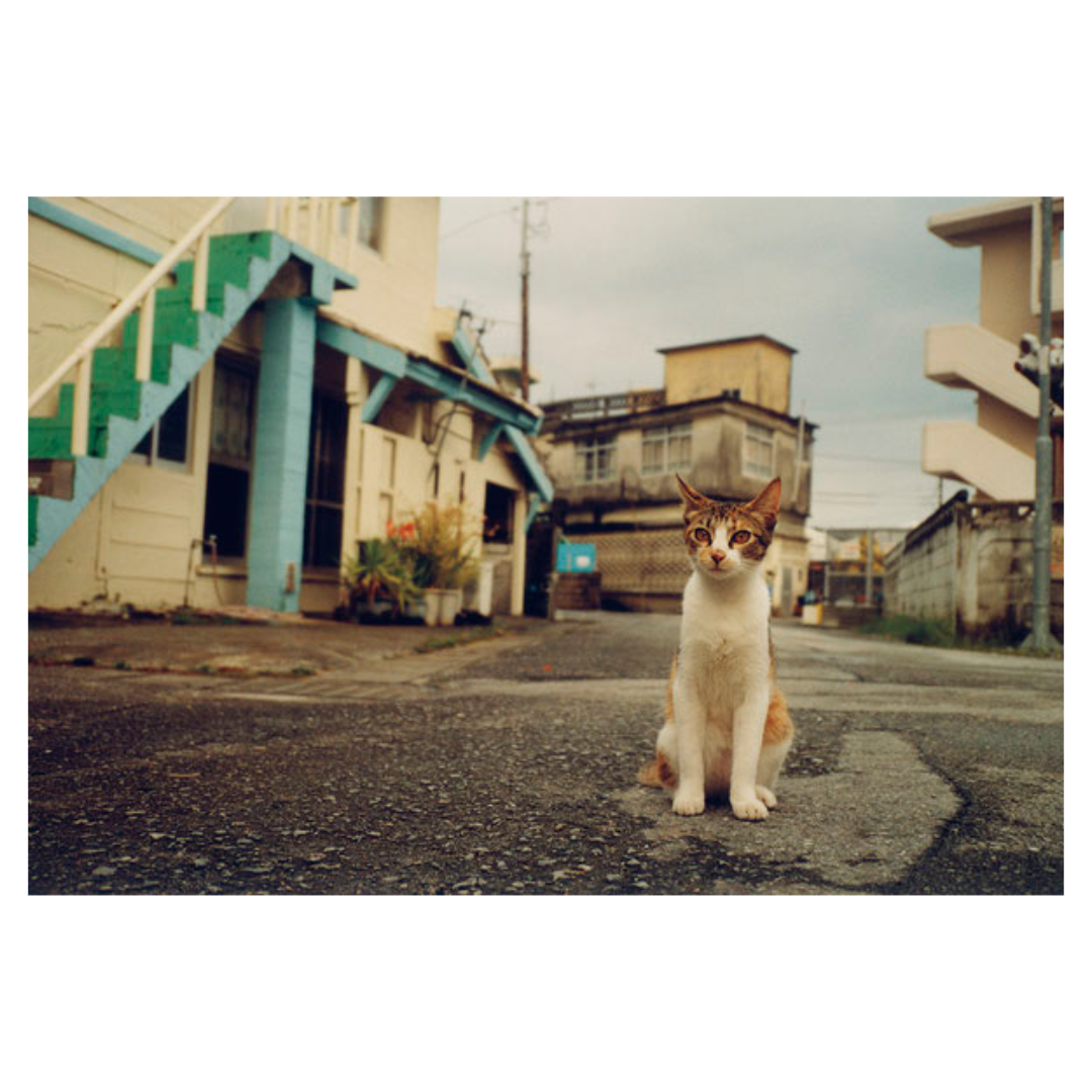 Koji Onaka, Have a Break-3.png