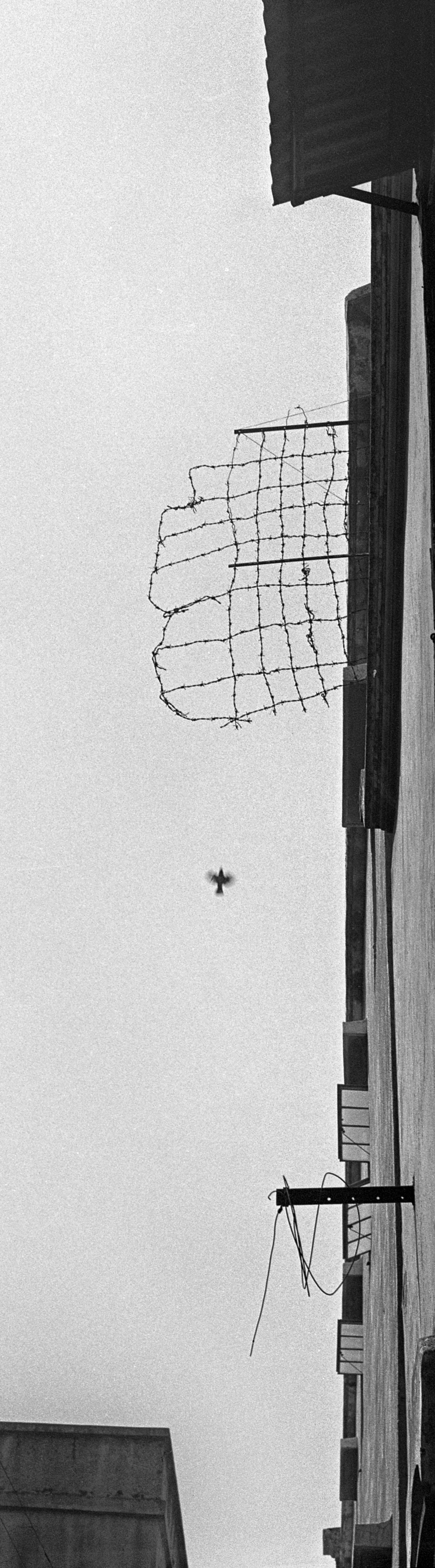 Fan Ho_Breaking Through.jpg