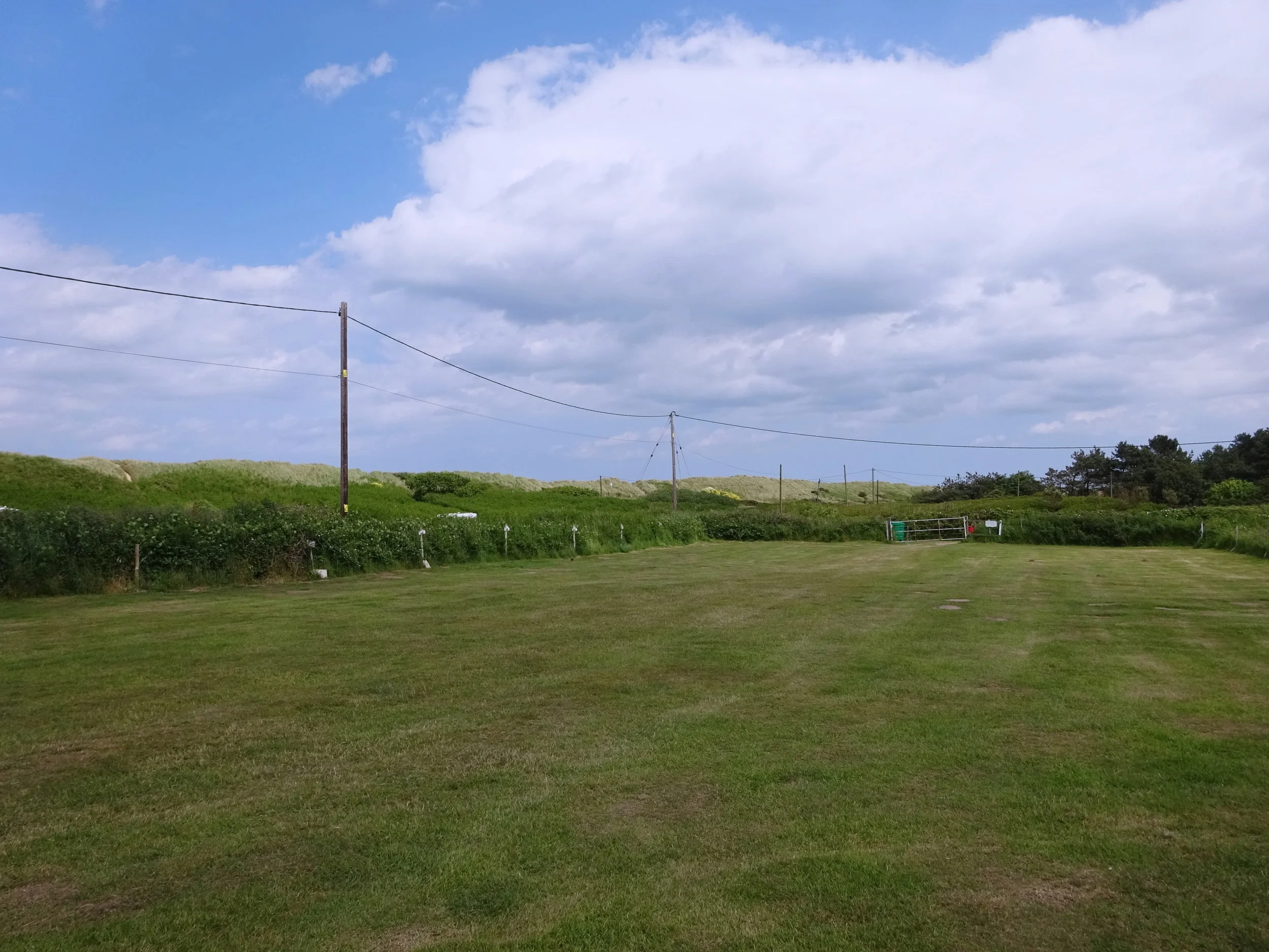 DSC00806.jpg