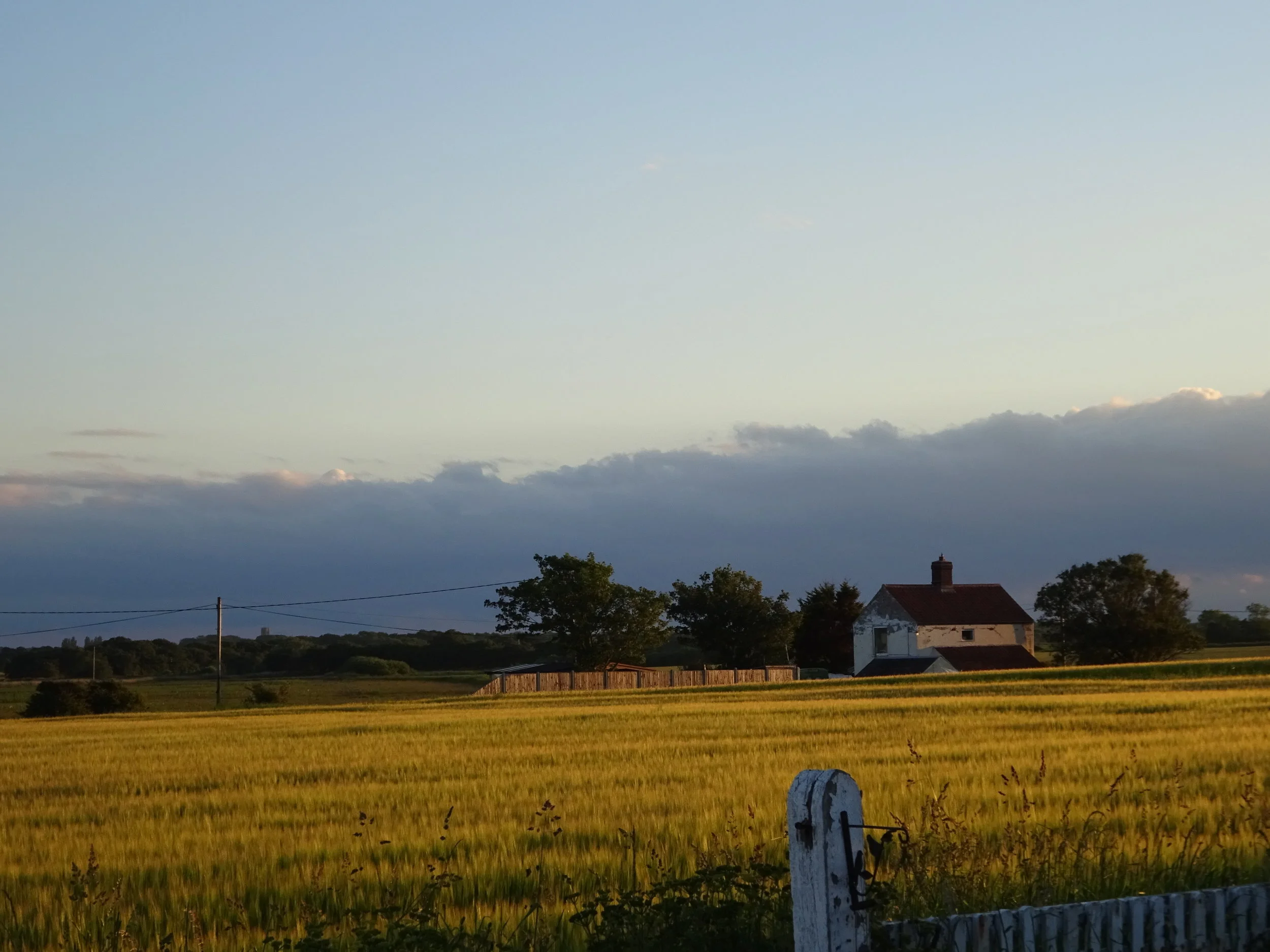 Views from the field...