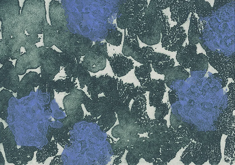 Euphrosyne Andrews, Royal Burst Swatch 0116-02, 2016