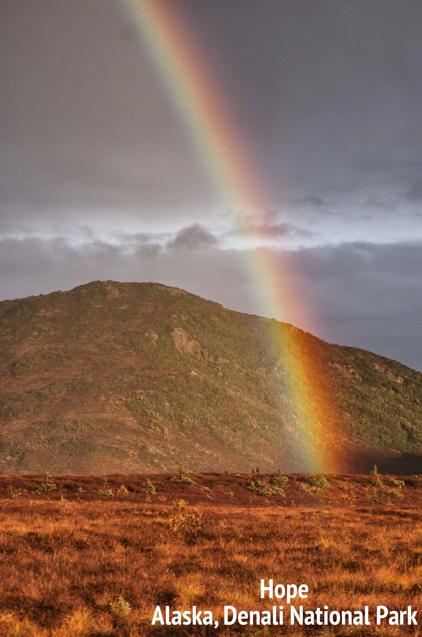 Rainbow Denali.jpg