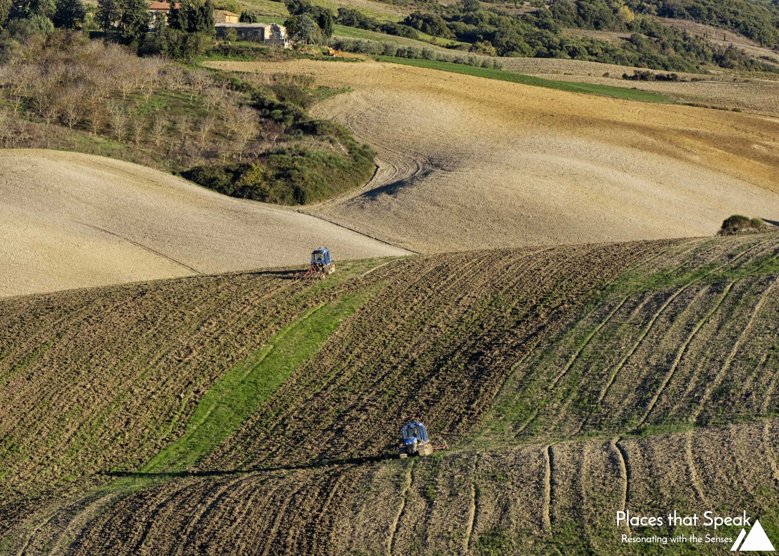 Nearby farmers prepare a field likely for sewing winter wheat.