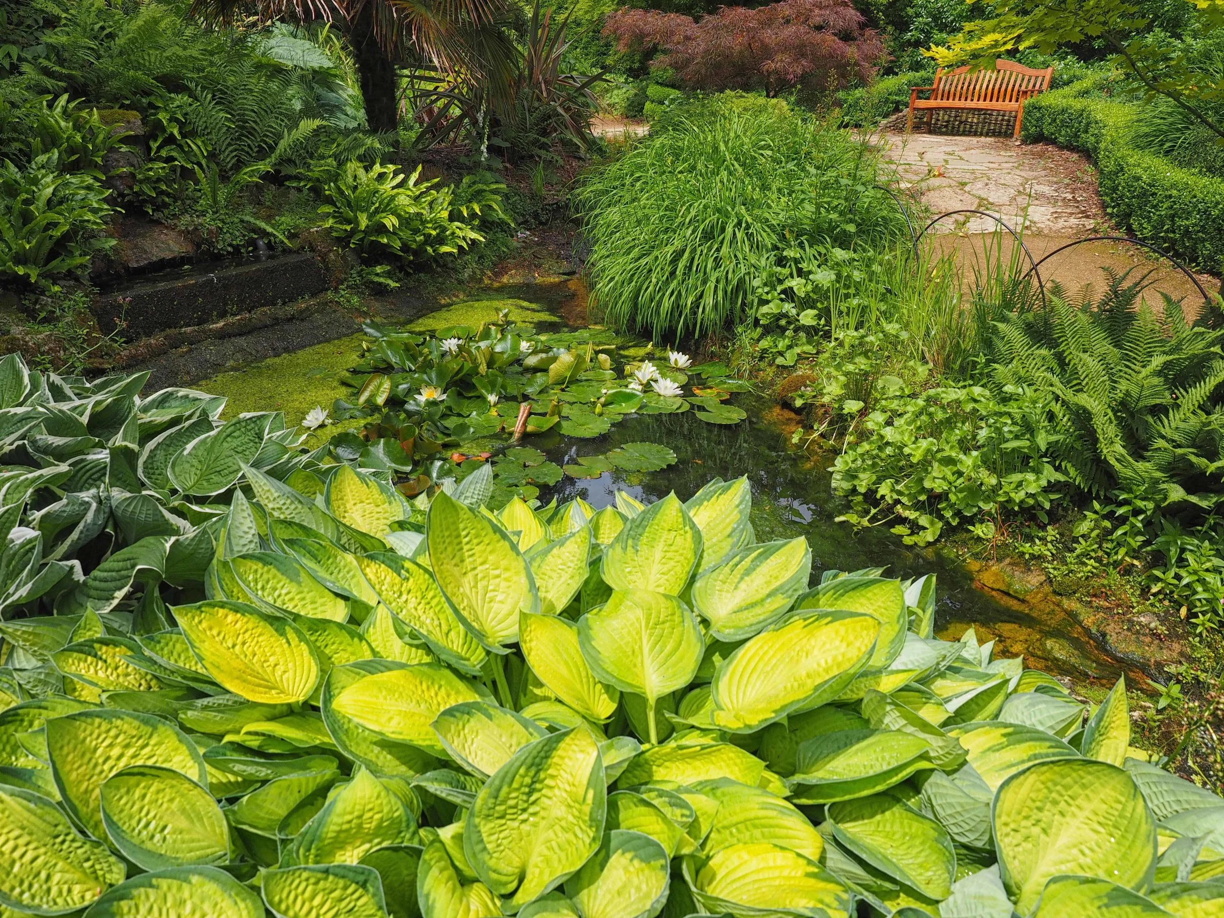 The Enchanting Peace and Greenery of the Secret Garden.