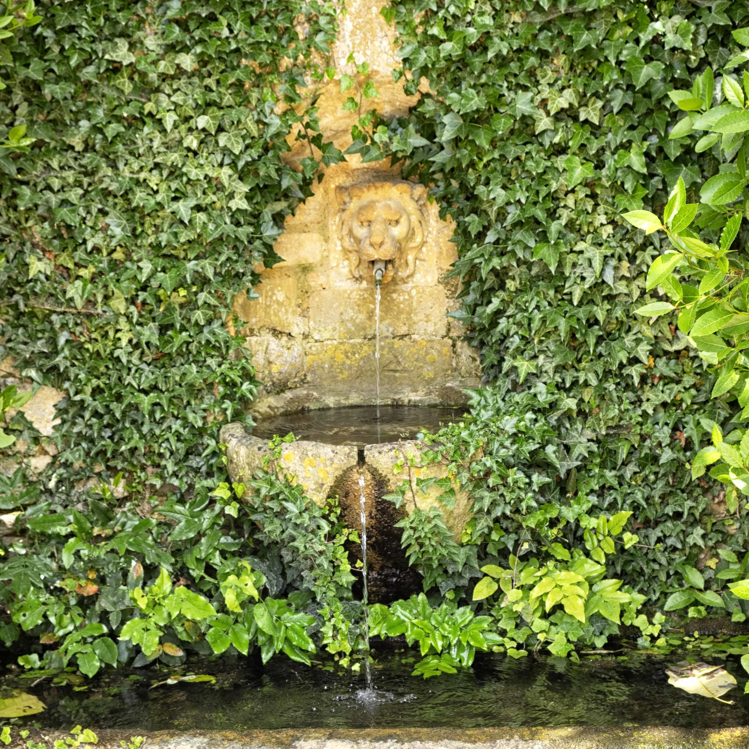 Hidcote 1.jpg