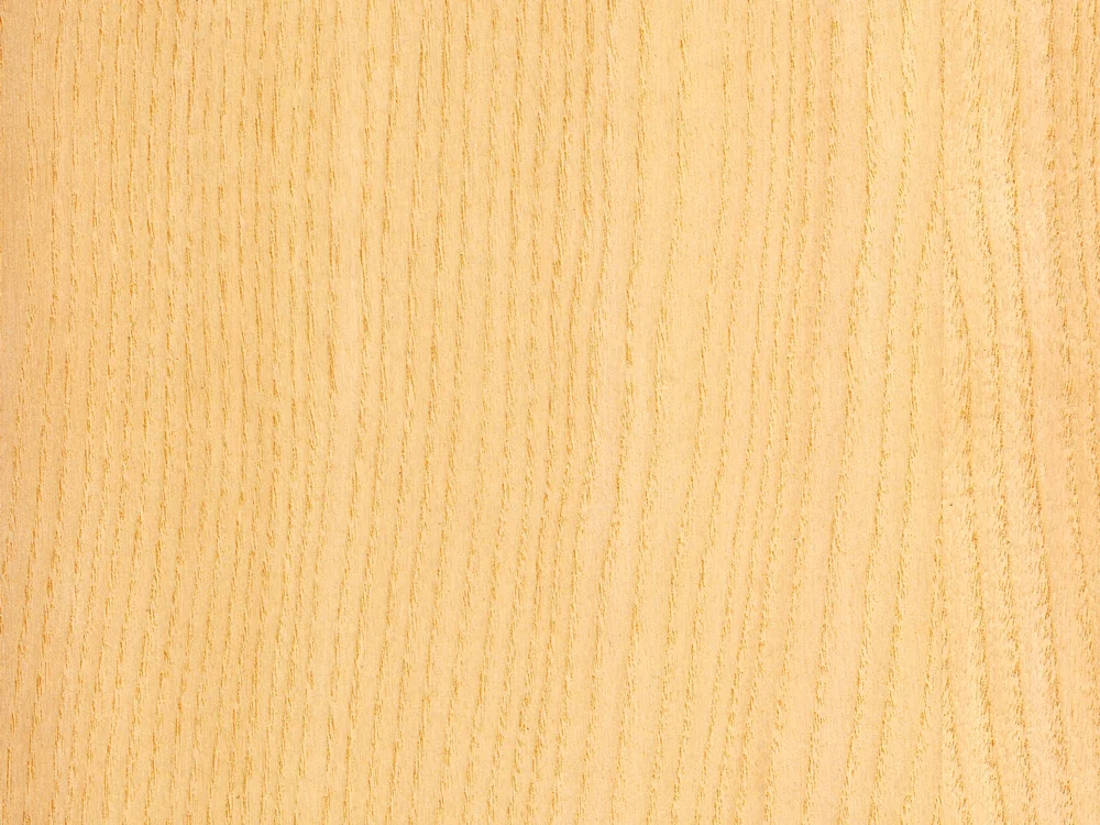 ASH WHITE - Download Swatch
