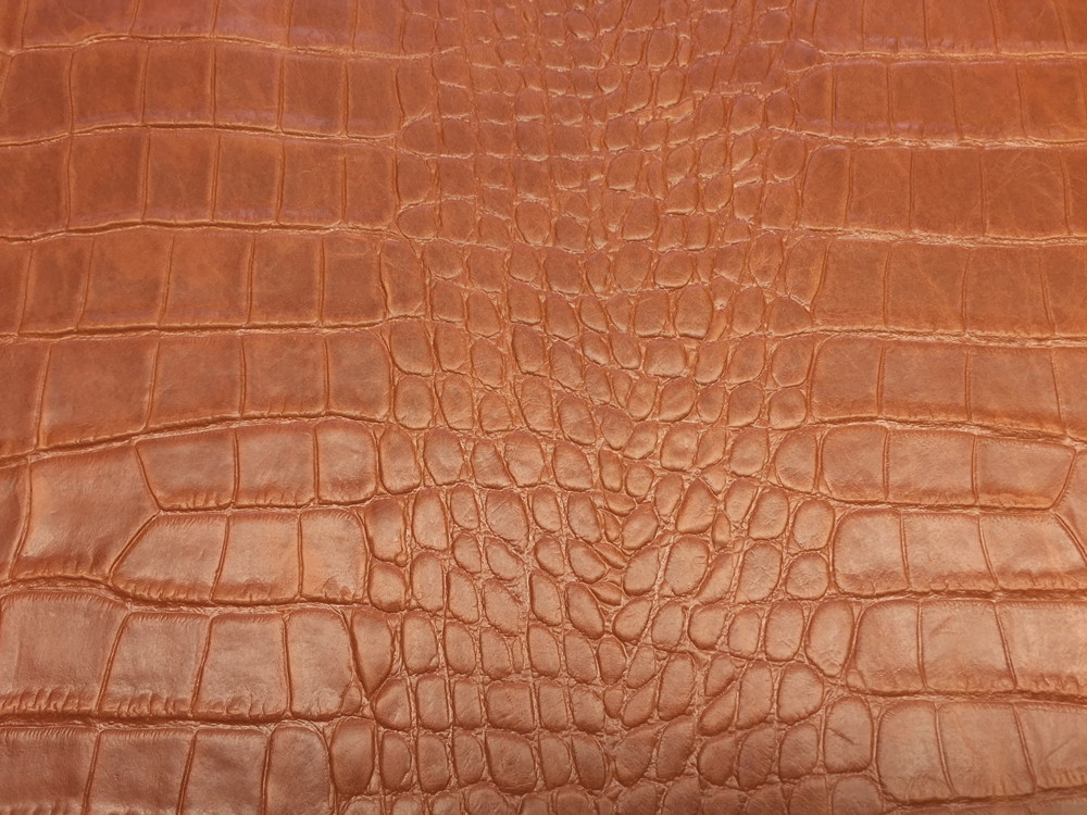 Semi Exotic - CROC ORANGE