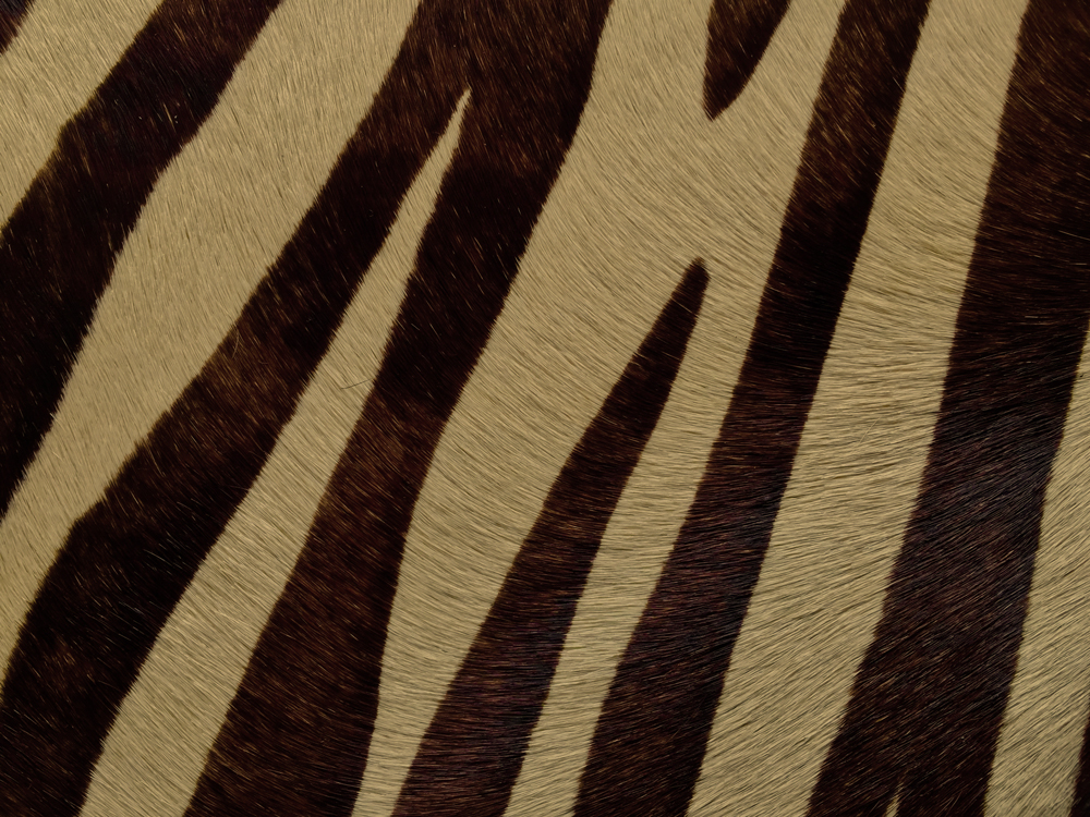 Semi Exotic - HAIR ON HIDE CREAM & BROWN