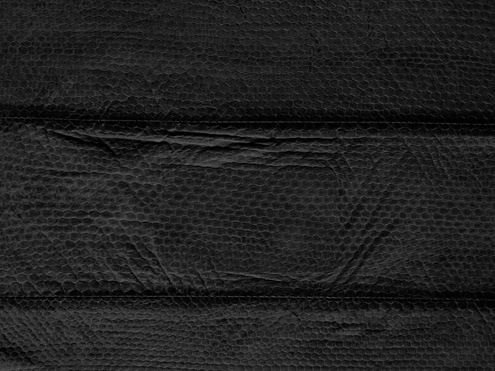 Genuine Exotic - SEA SNAKE BLACK