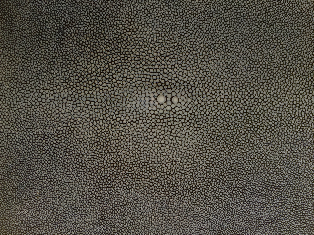 Genuine Exotic - SHAGREEN CHARCOAL