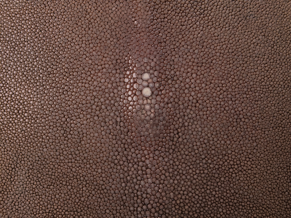 Genuine Exotic - SHAGREEN SPORT RUST
