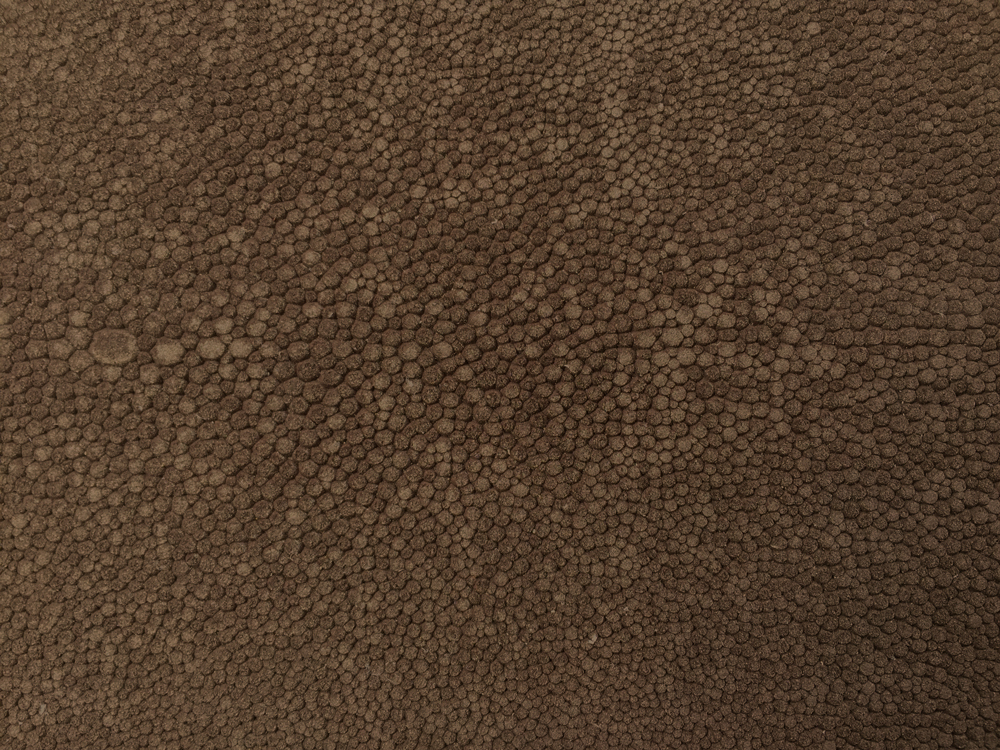 Semi Exotic - MOCHA SUEDED SHAGREEN