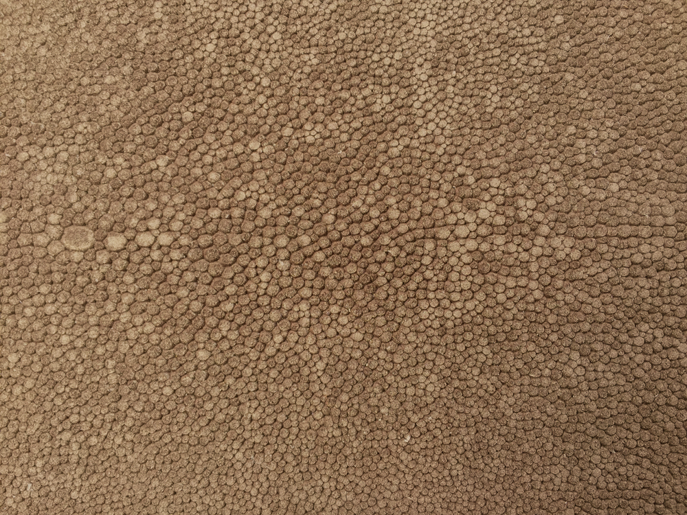 Semi Exotic - TAUPE SUEDED SHAGREEN